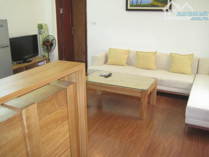 Cho thuê căn hộ tầng 3 đủ tiện nghi phố Phan Chu Trinh, Hai Bà Trưng