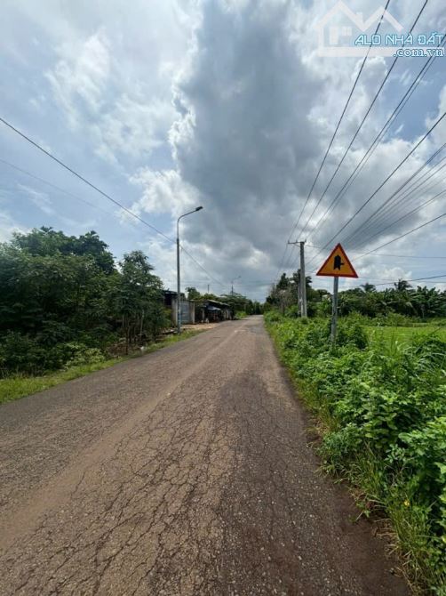 Bán lô đất mặt tiền đường nhựa 1500m2 Xuân Bảo cẩm mỹ