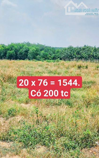 BÁN 02 LÔ MT NHỰA NHÁNH DT, LONG TÂN, DẦU TIẾNG, DT:40x76, TC400M2, SHR, GIÁ TỔNG 4,6 TỶ