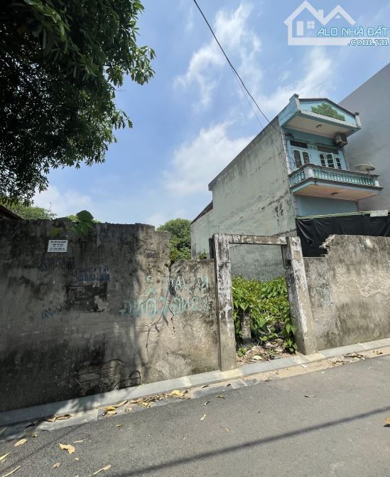 BÁN LÔ ĐẤT KINH DOANH SIÊU TIỀM NĂNG  236m2  KIM CHUNG, ĐÔNG ANH