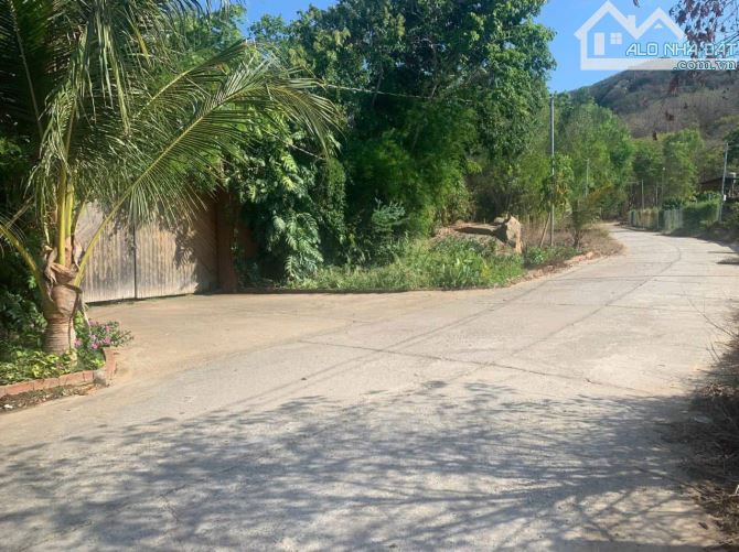 BÁN LÔ ĐẤT TẠI TAM AN – LONG ĐIỀN ĐƯỜNG NHỰA 10M,GIÁ TỐT CHỈ 2TY2