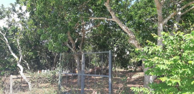 Bán đất Bình Giã giá chỉ 680 triệu/sào – 4 sào 4 đất đẹp gần khu dân cư