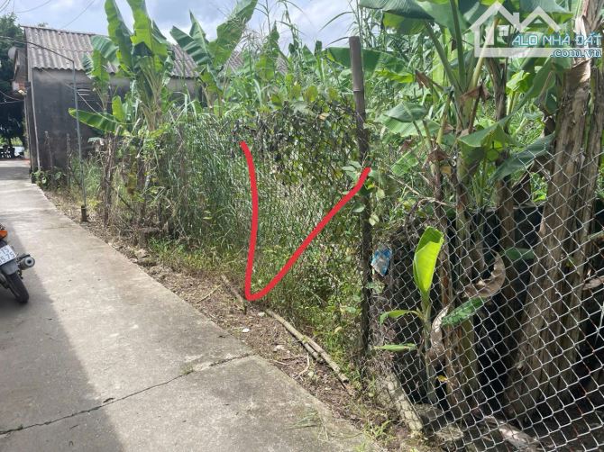 Bán Đất Hồng Vân - Thường Tín, 100m², Gần Vành Đai 4 – giá đầu tư nhỉnh 2 tỷ - 1