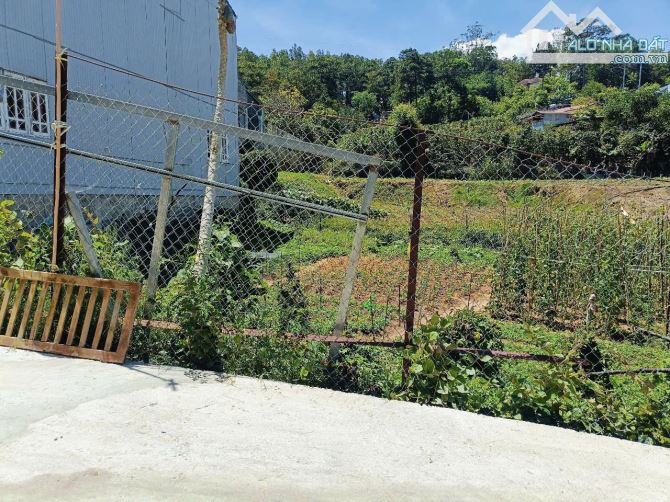 Bán Đất biệt thự Trần Thái Tông - P10 Đà Lạt. Gía 8.5 tỷ -248m2 - 1