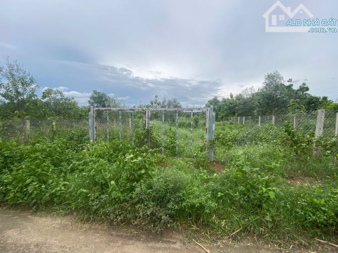 chỉ 550 triệu sở hữu ngay lô đất 1120m2 có 15m mặt tiền đường bê tong - 1