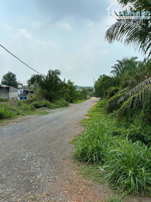 XT334 Cho thuê xưởng 1000m2  Gần Đường Hoàng Văn Bổn 200m - 1