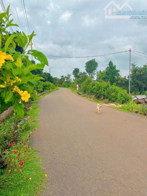 VƯỜN CÂY ĂN TRÁI VIEW SUỐI TUYỆT ĐẸP, SẴN THỔ CƯ, GIÁ CỰC RẺ CẦN BÁN GẤP TRONG TUẦN - 1