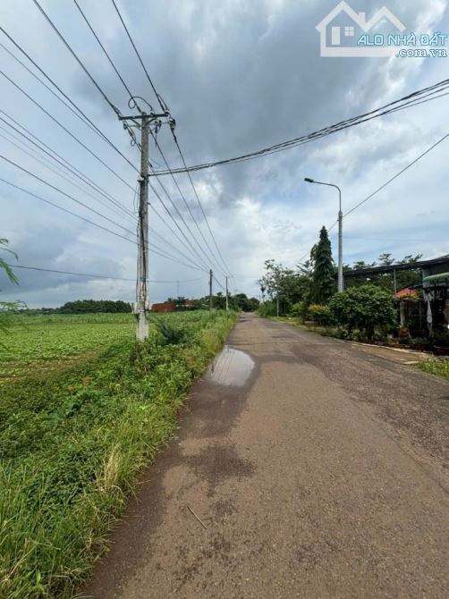 Bán lô đất mặt tiền đường nhựa 1500m2 Xuân Bảo cẩm mỹ - 1