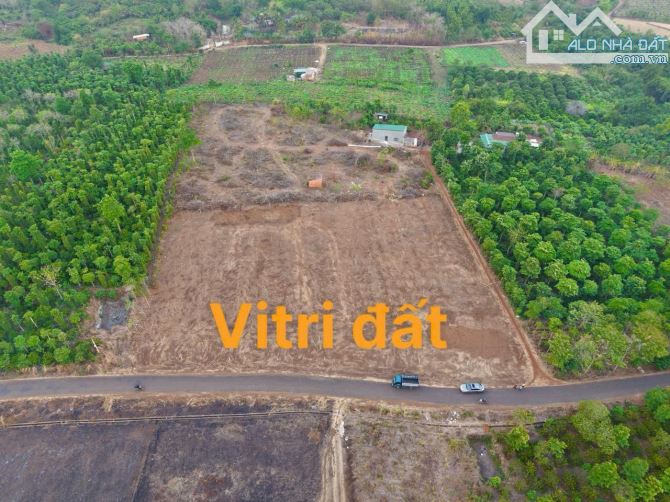 📣Bán Đất 70x145m(1héc) đường Nhựa qh 40m xã Hoà Xuân Buôn Ma Thuột 3tỷ850 triệu - 1