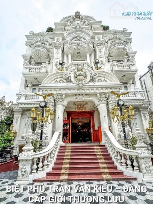 SIÊU BIỆT THỰ QUẬN 6 NỘI THẤT CHẠM KHẮC VÀNG, DIỆN TÍCH 1200M MẶT TIỀN ĐƯỜNG TRẦN VĂN KIỂU - 1