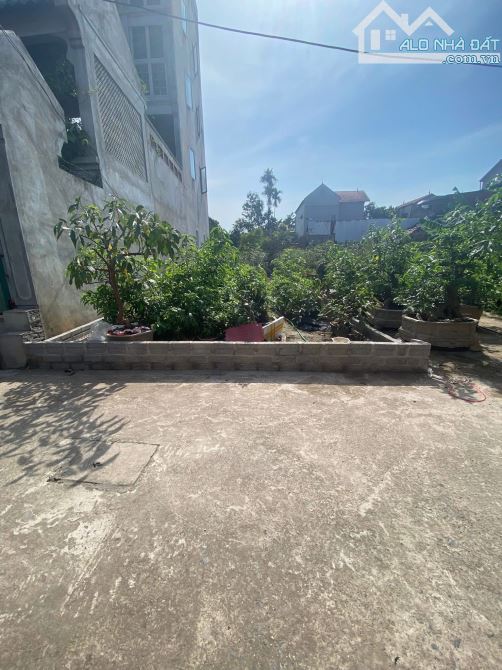 Cần bán 103 đất đẹp tại Đan kim Liên nghĩa - 2