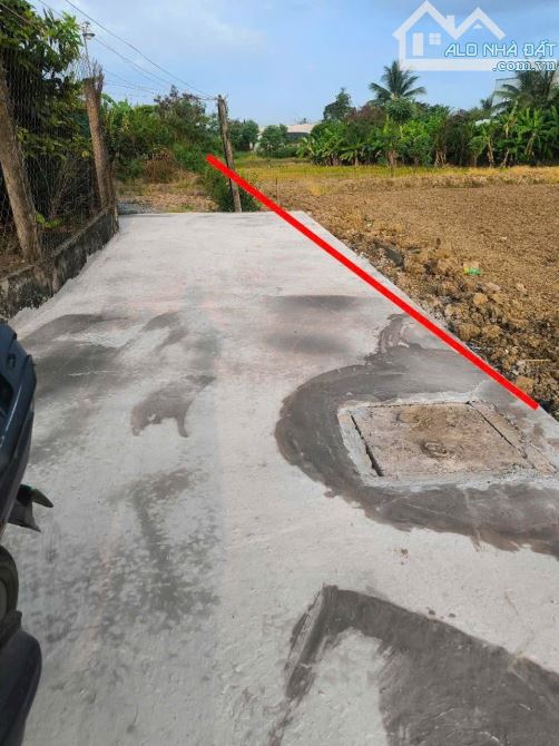 💎Bán 585m2 đất xây nhà vườn Gò Tre, Phường Long Thuận gần chợ Long Thuận - 2