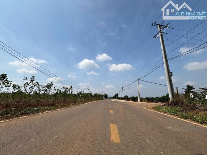 Đất ven Đà Lạt mặt đường nhựa cực đẹp, gần sân bay, 500m2 có sẵn thổ cư xây dựng tự do - 2