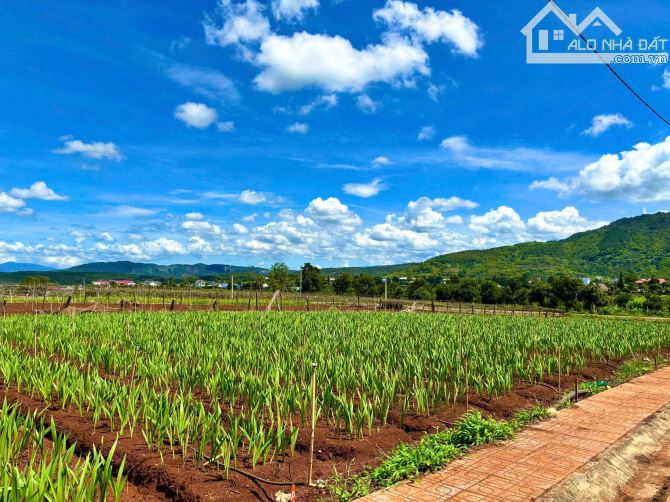 Cần Bán Nhanh Lô Đất Nền Gần Sân Bay Liên Khương, Sổ Riêng - Giá Chưa tới 2 tỷ - 2