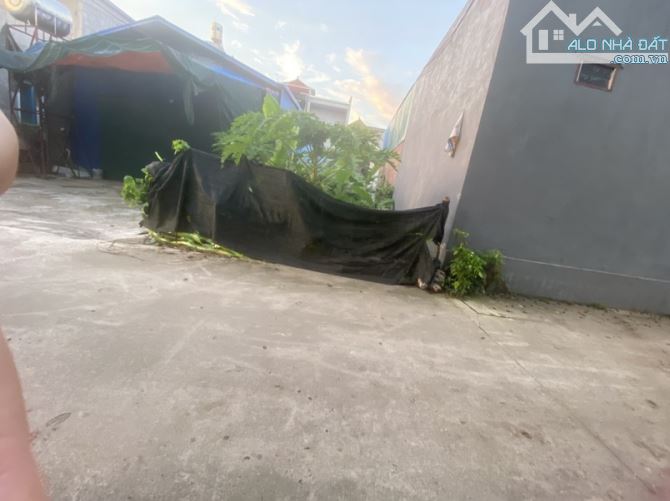 🔥🔥CHÍNH CHỦ GỬI BÁN ĐẤT MAI ĐÌNH-SÓC SƠN HN giá 29 tr/1m2 - 2