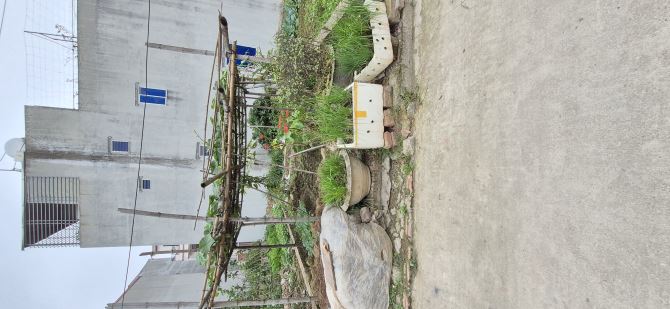 CHÍNH CHỦ GỬI BÁN LÔ ĐẤT NAM HỒNG, ĐÔNG ANH. - 2