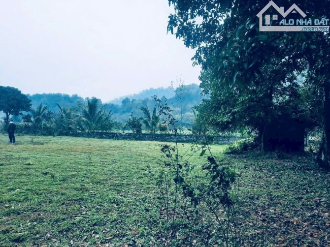 Bán đất thôn 4 Ba Trại, Ba Vì, gần K9, Suối Hai, chợ, UBND, vuông, 1440m, 2 mặt oto, 6tỷ - 3