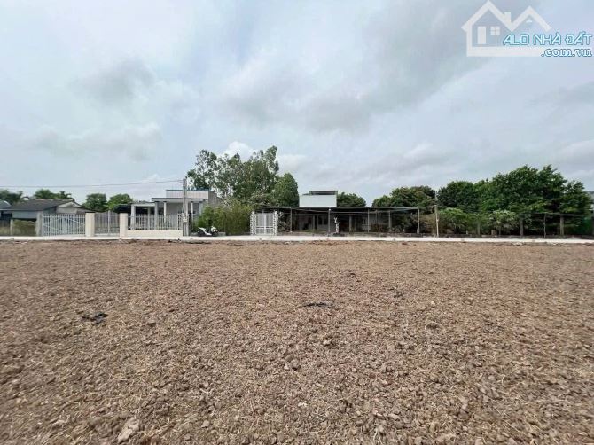 💎Bán 585m2 đất xây nhà vườn Gò Tre, Phường Long Thuận gần chợ Long Thuận - 3