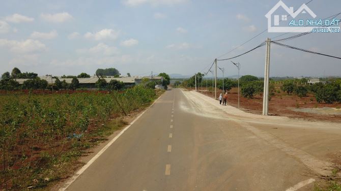 Đất ven Đà Lạt mặt đường nhựa cực đẹp, gần sân bay, 500m2 có sẵn thổ cư xây dựng tự do - 3