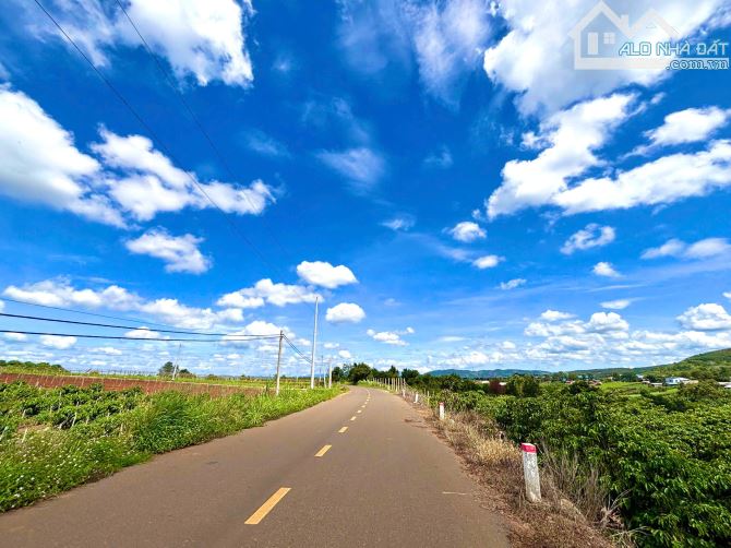 Cần Bán Nhanh Lô Đất Nền Gần Sân Bay Liên Khương, Sổ Riêng - Giá Chưa tới 2 tỷ - 3