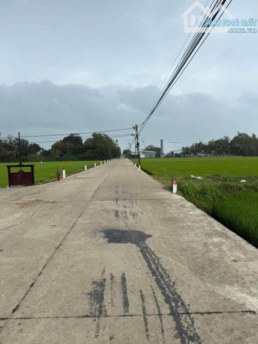 Chưa Đến 4 Triệu/m2 Anh Chị Có Thể Sở Hữu Ngay Lô Đất Cát - Phù Cát - 3