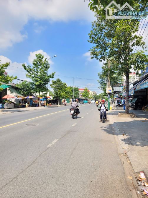 7ty5 TL 169,2m2 đất tặng nhà tạm MT đường Nguyễn Thị Minh Khai p.Tân Đông Hiệp - 3