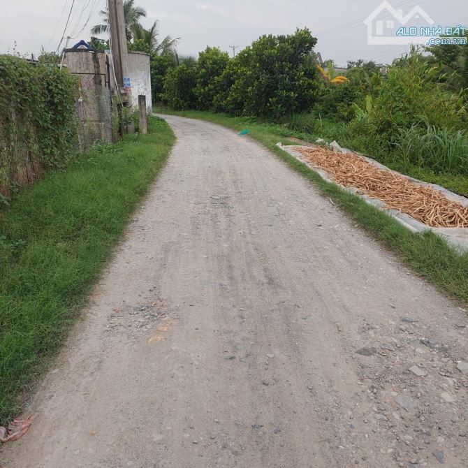 BÁN 1,8 CÔNG ĐẤT CÓ THỔ, ĐƯỜNG Ô TÔ 4M ,GẦN CHỢ BÌNH TIÊN, XÃ TÂN PHÚ TRUNG, CHÂU THÀNH - 3