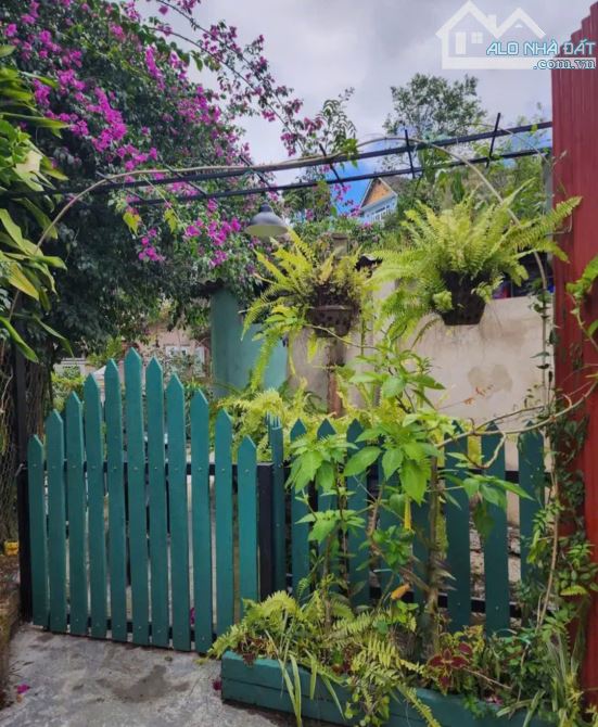 CẦN BÁN GẤP HOMESTAY ĐÀO DUY TỪ 137M2 NGANG 11M GỒM 3 CĂN HOME 6PN 6WC GIÁ 5,45 TỶ - 7