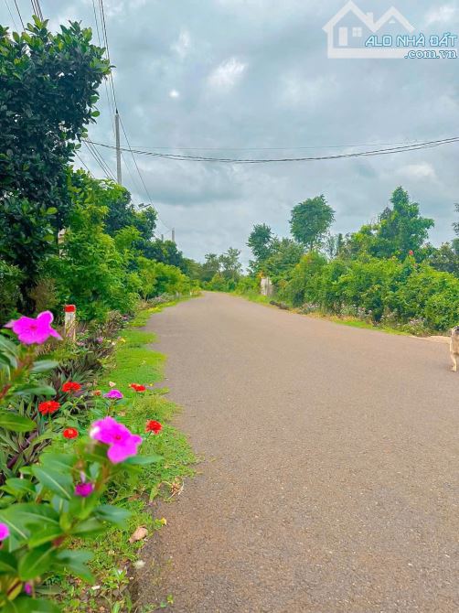 VƯỜN CÂY ĂN TRÁI VIEW SUỐI TUYỆT ĐẸP, SẴN THỔ CƯ, GIÁ CỰC RẺ CẦN BÁN GẤP TRONG TUẦN - 9