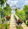 Cho thuê villa sân vườn phường 12 đà lạt 13tr/tháng nội thất đầy đủ