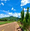 Cần Bán Nhanh Lô Đất Nền Gần Sân Bay Liên Khương, Sổ Riêng - Giá Chưa tới 2 tỷ