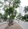 Siêu phẩm nhà phố Lê Trọng Tấn, Hà Đông 320m2 MT16m, ô tô tránh kinh doanh nhỉnh 62 tỷ