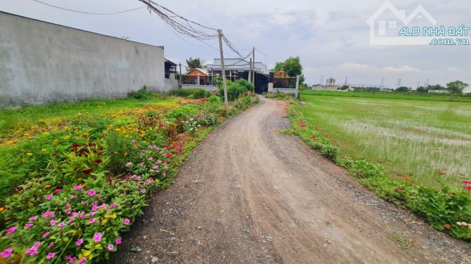 Bán Đất 10x20m đường xe hơi ấp Bình Lợi, xã Hòa Khánh Đông, Đức Hòa, Long An giá 1.15 tỷ - 3