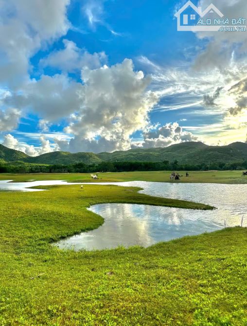BÁN VƯỜN XOÀI ĐẸP GẦN HỒ SỞ BÔNG - GẦN BIỂN PHƯỚC HẢI – TT PHƯỚC HẢI – BRVT GIÁ 2T2 - 3