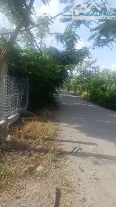 CẦN BÁN LÔ ĐẤT VƯỜN 533m2 VUÔNG VỨC MẶT TIỀN ĐƯỜNG BÙI VĂN SỰ QUY ĐỨC BÌNH CHÁNH