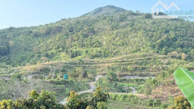 Bán đất rừng 7,9 ha núi Cù Hin, xã Cam Hải Đông, huyện Cam Lâm, Khánh Hoà