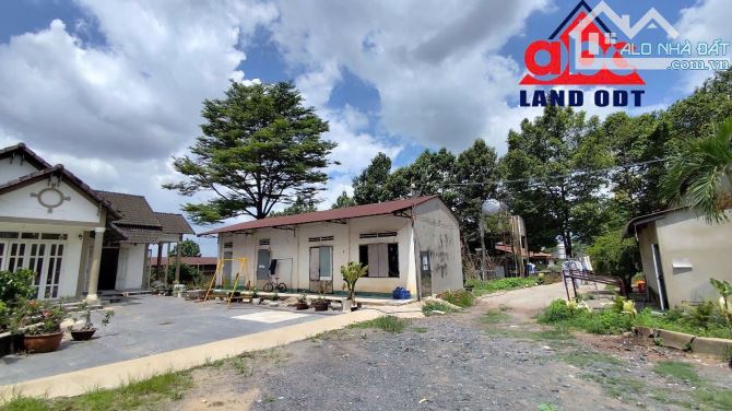 XT310 Cho thuê trang trại 3ha thích hợp chuyển đổi làm kho chứa hàng, Bình Minh, Trảng Bom