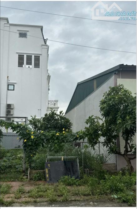 Chinh chủ gửi bán lô đất gian dan chè Liên Bão Tiên Du Bn giá cực tốt