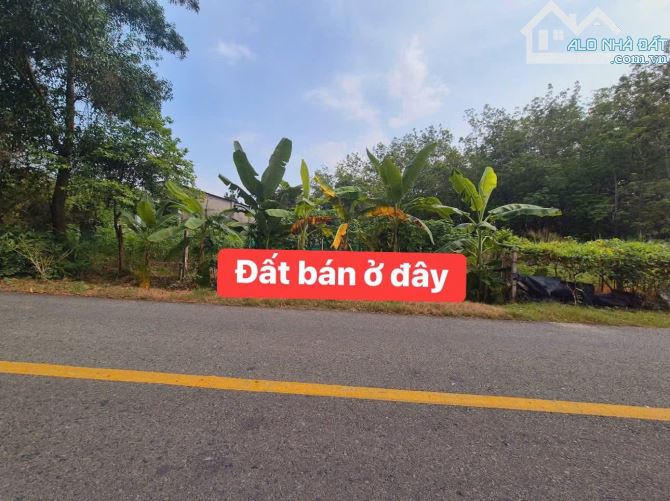 Bán đất thổ cư mặt tiền kinh doanh xã An Nhơn Tây Củ Chi TPHCM, DT: 10x20m.