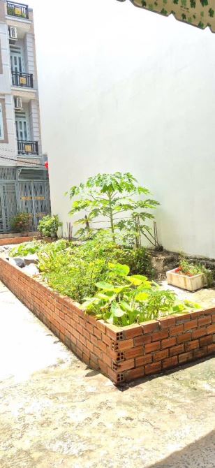 Đất 3 Mặt Tiền Lương Văn Can , P15 , Q8 , 58m2 , vuông vức , xây dựng tự do , nhỉnh 3 tỷ