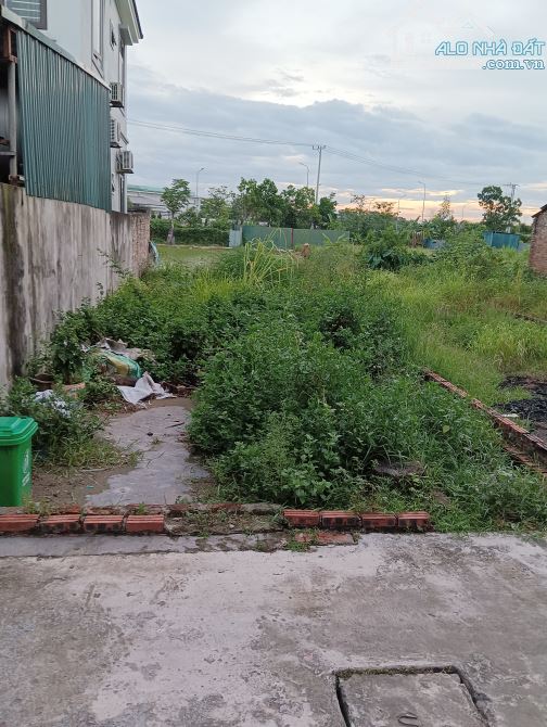 Bán Đất- Lạc Nông(Mai Đình-Sóc Sơn) 85M2 Full Thổ Cư- 3Tỷ- Đường Thông Ô Tô