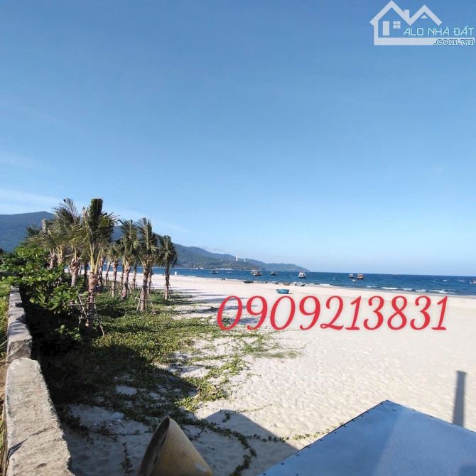 💥ĐẤT ĐẸP 1580M2 FULL THỔ CƯ+ 2 NHÀ CẤP 4 – GIÁ RẺ BẤT NGỜ 💥