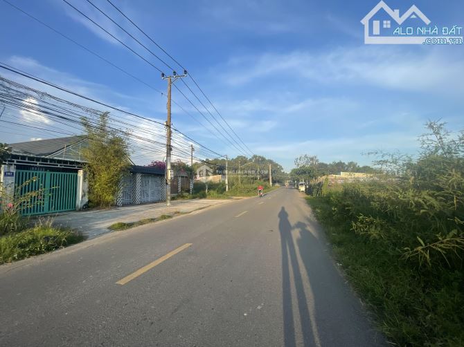BÁN LÔ ĐẤT 944m2 CÓ THỔ CƯ GẦN CẦU CỬA LẤP MẶT TIỀN ĐƯỜNG PHƯỚC THẮNG P12 Tp Vũng Tàu