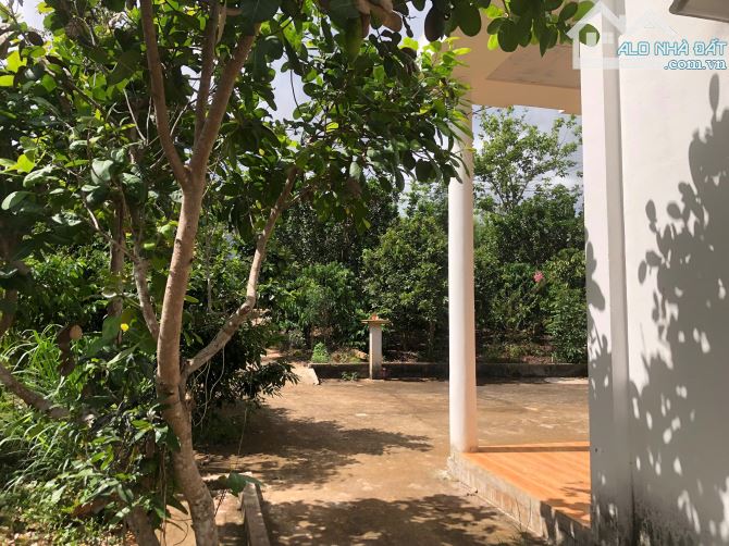Siêu phẩm đất trục lớn tại Đá Bạc – 6 sào tiềm năng, giá chỉ 7 tỷ – pháp lý rõ ràng