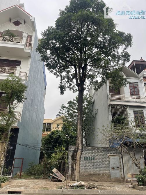 BÁN ĐẤT 2 MẶT ĐƯỜNG NGUYỄN VĂN HOAN KHU ĐÔ THỊ HÒA VƯỢNG - 1
