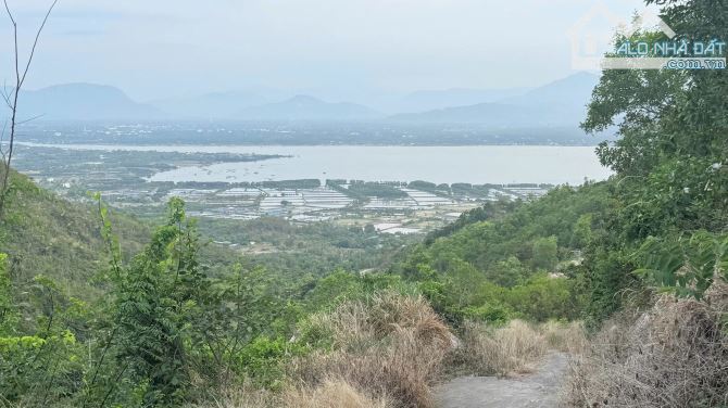 Bán đất rừng 7,9 ha núi Cù Hin, xã Cam Hải Đông, huyện Cam Lâm, Khánh Hoà - 1