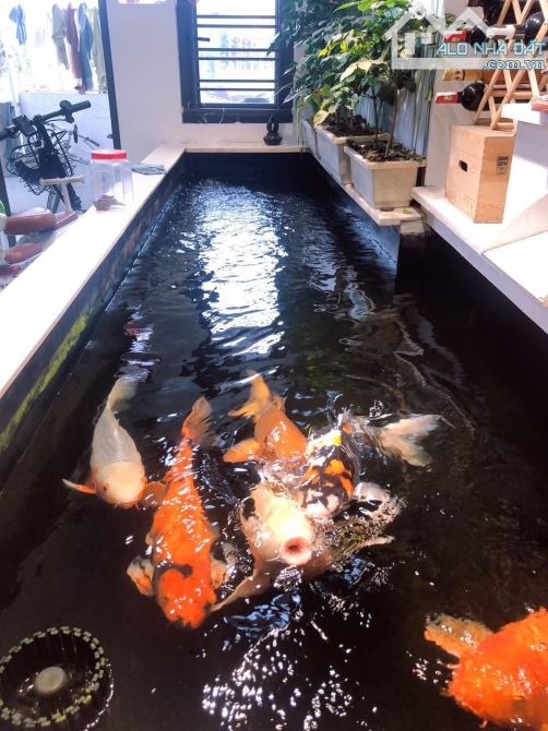 GIẢM CÒN 6,99 TỶ – NHÀ 3,5 TẦNG MẶT ĐƯỜNG LÁN BÈ – LƯNG TỰA SÔNG – VIEW SIÊU CHILL 🐟 - 1