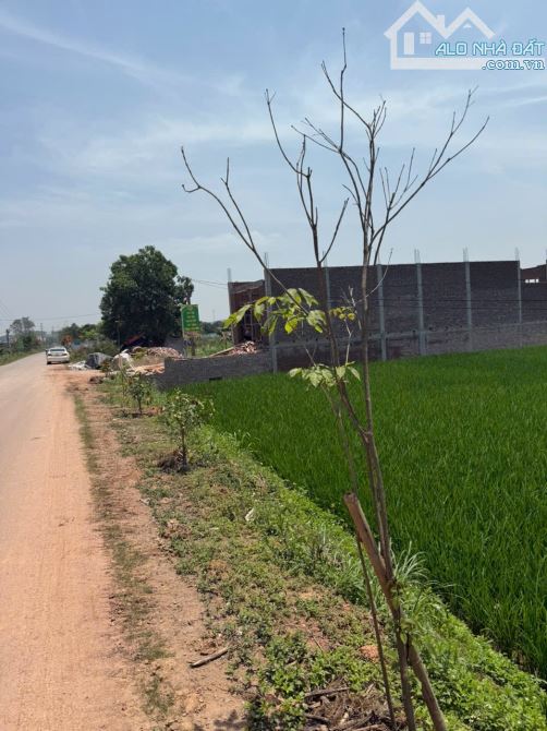🔥 BÁN ĐẤT ĐẤU GIÁ - TRỤC CHÍNH LIÊN XÃ LIÊN CHUNG 100M2 KD MT5M , TÂN YÊN, BẮC GIANG 🔥 - 1