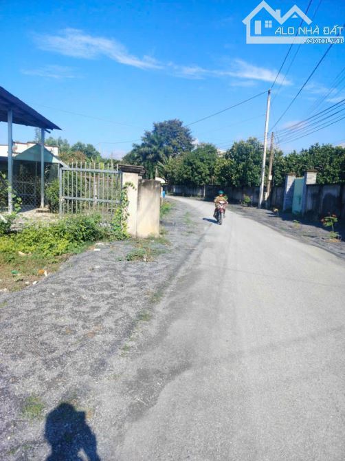 Bán Đất mặt tiền Đường Nhựa, thường tân 18 Tân Uyên Bình Dương, 9m X 35m giá 2 tỷ 3 - 1