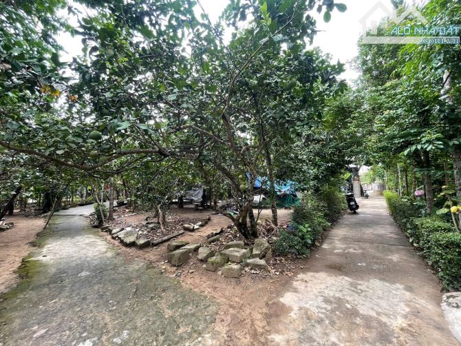 Bán đất kiệt ô tô Nguyệt Biều,503m2 giá chỉ 7 triệu/m2 - 1